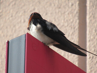 IMG_12810001.jpg